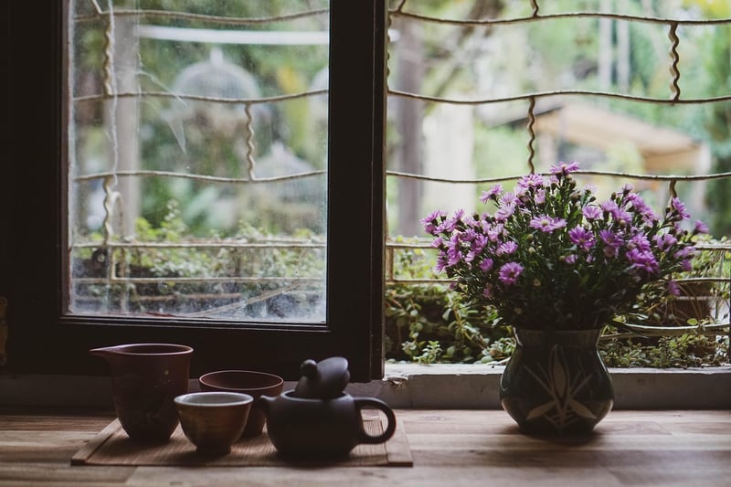 Teacup Mini Gardens